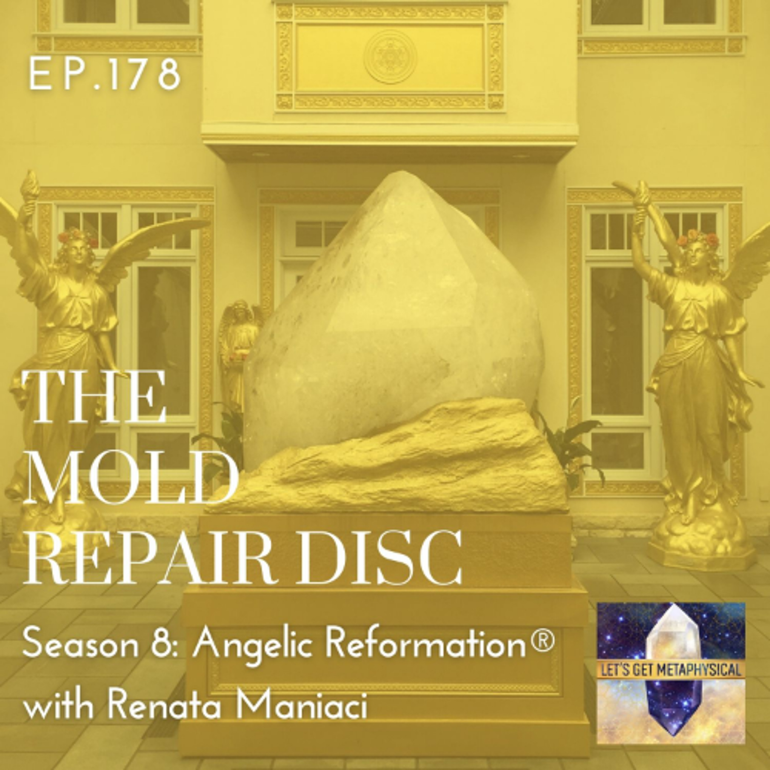 The Mold Repair Disc